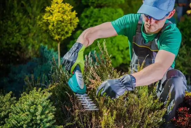 landscaping services Qulin